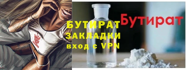 хмурый Пересвет