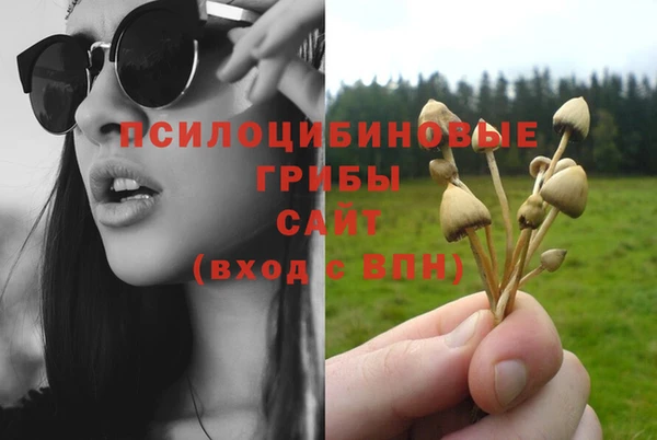 ECSTASY Ветлуга