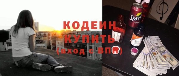 хмурый Пересвет