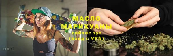 хмурый Пересвет