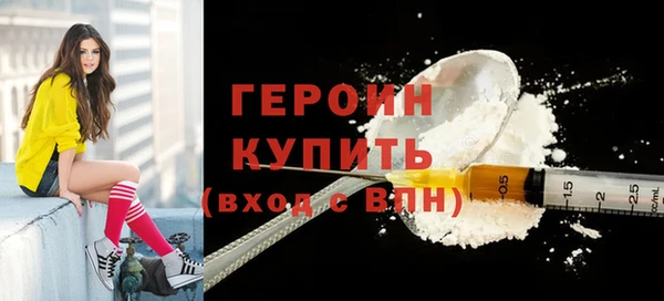 хмурый Пересвет