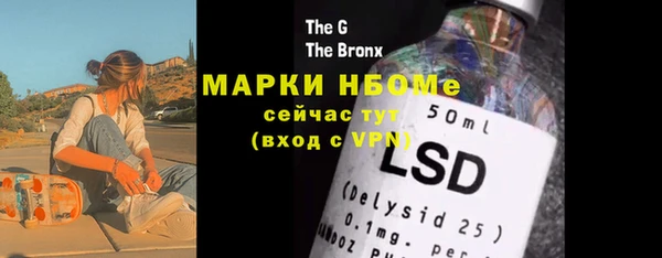 хмурый Пересвет