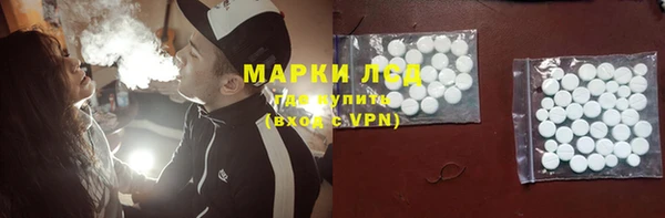 хмурый Пересвет
