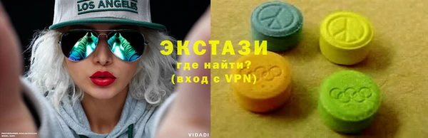 хмурый Пересвет