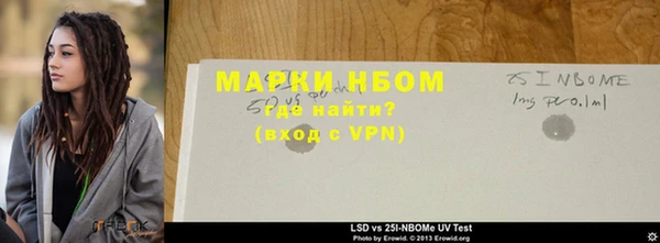 хмурый Пересвет