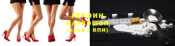хмурый Пересвет