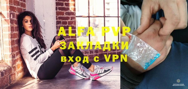 хмурый Пересвет