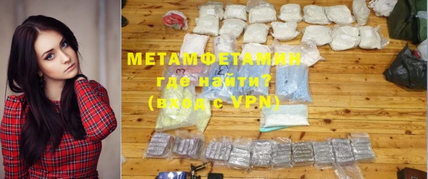 хмурый Пересвет