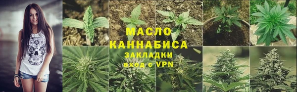 хмурый Пересвет