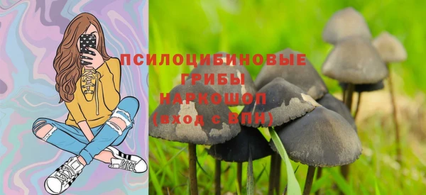 хмурый Пересвет