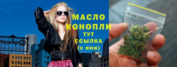 хмурый Пересвет