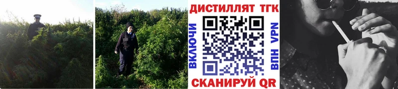 ТГК вейп  Сергач 