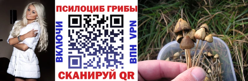 Галлюциногенные грибы Cubensis  где продают наркотики  Сергач 